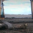 Photo #4: Excavation digging track hoe dirt work excavator drainage tile