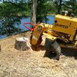 Photo #2: Stump Grinding