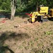 Photo #3: Stump Grinding