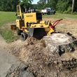 Photo #4: Stump Grinding