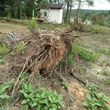 Photo #5: Stump Grinding