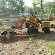 Photo #7: Stump Grinding