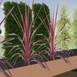 Photo #13: VIRTUAL LANDSCAPE DESIGN __ RENDERINGS - LANDSCAPE ARCHITECTURAL PLANS