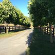 Photo #4: Horse Boarding