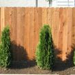 Photo #13: --LAWN CARE-TREE TRIMMING--WOOD FENCING--GENERAL LANDSCAPING