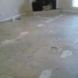 Photo #2: QUALITY FLOORING INSTALLATIONS / PAINTING / AND MORE...