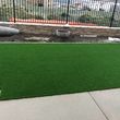 Photo #14: Artificial Grass Installation