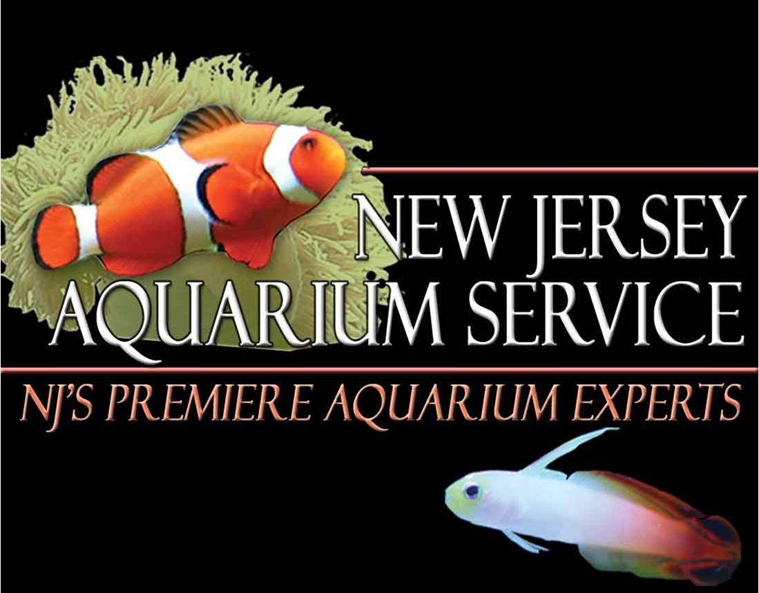 New Jersey Aquarium Service - 5De96b9f79cb52.08071418